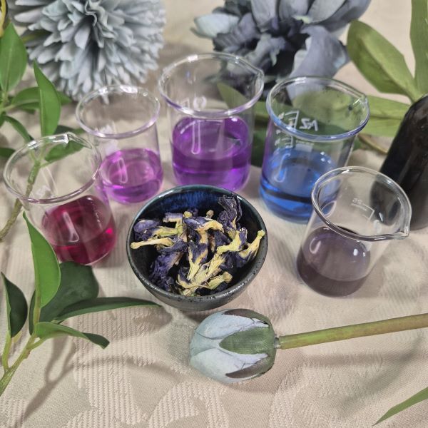 butterfly pea flower benefits for skin