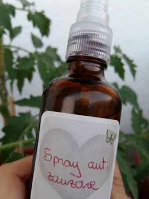 mosquito repellent spray DIY